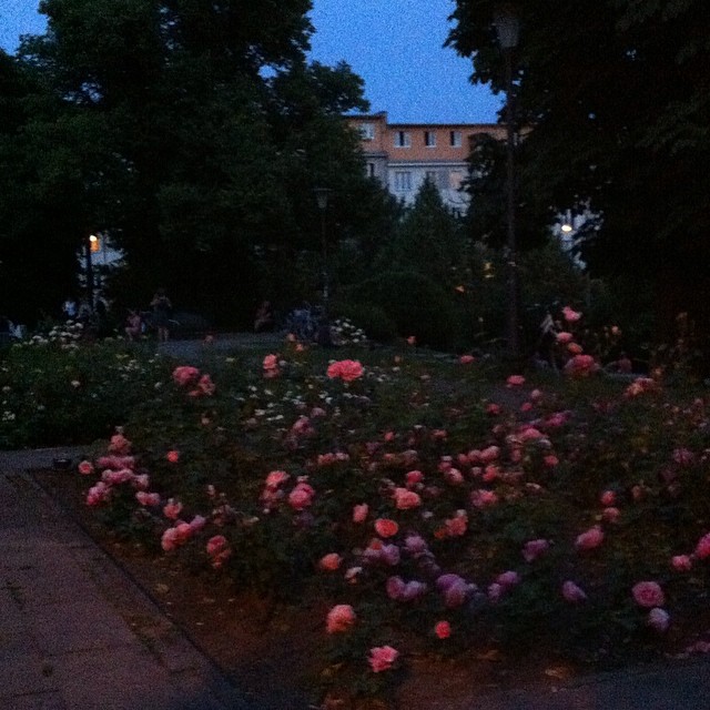 Sommerabend, der Moment, wo Berlin sehr nett ist.